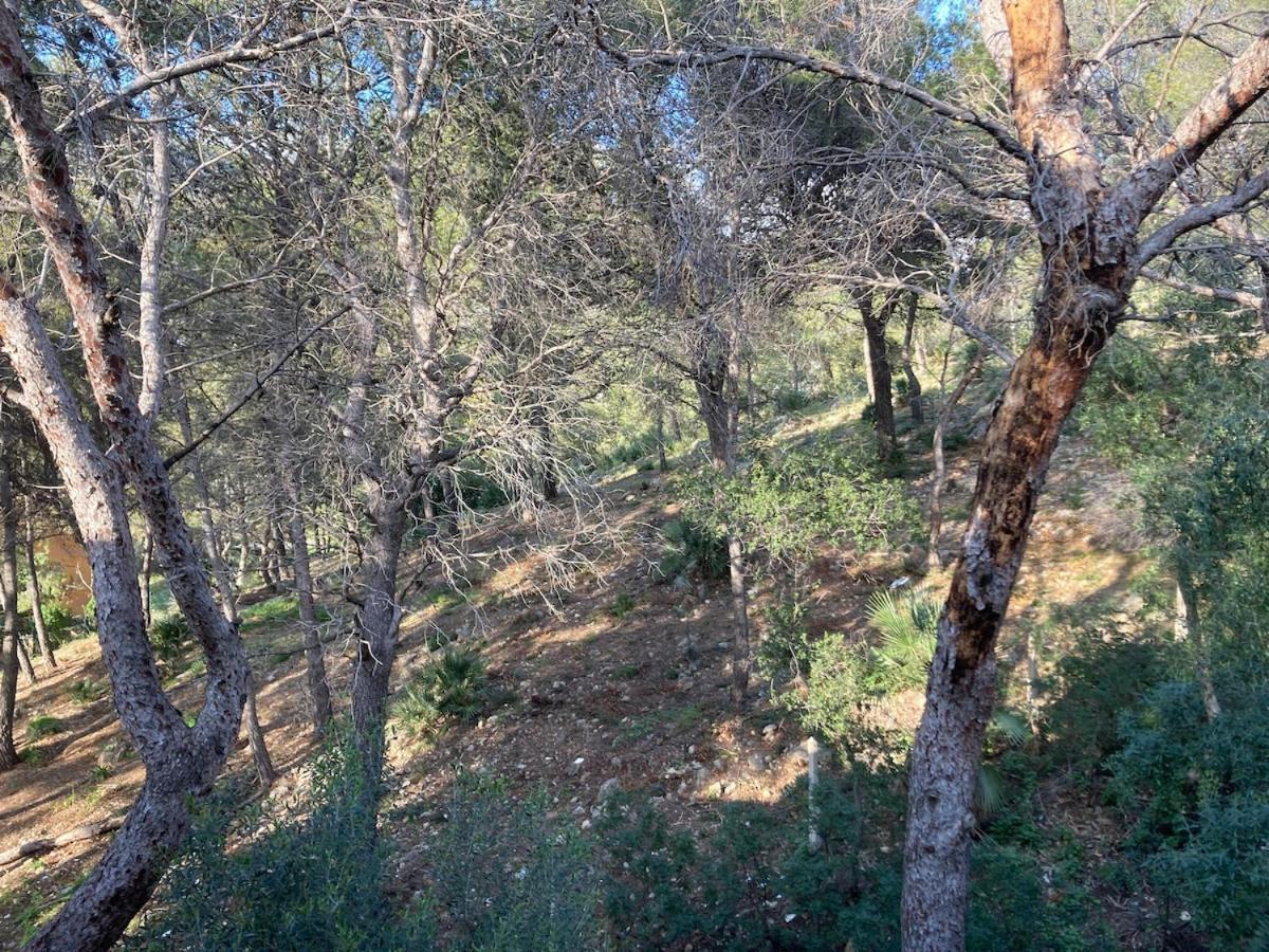 קסטלדפלס Apartamento Con Vistas Al Mar מראה חיצוני תמונה